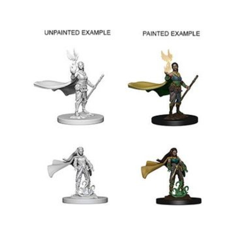 Wizkids - Dungeons and Dragons - Nolzurs Marvellous Miniatures - Elf Female Druid - 72642