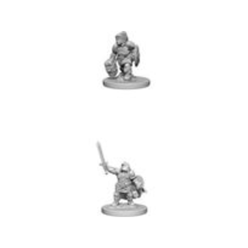 Wizkids - Dungeons and Dragons - Unpainted Miniature - Nolzurs Marvellous Miniatures - Dwarf Female Paladin - 72631