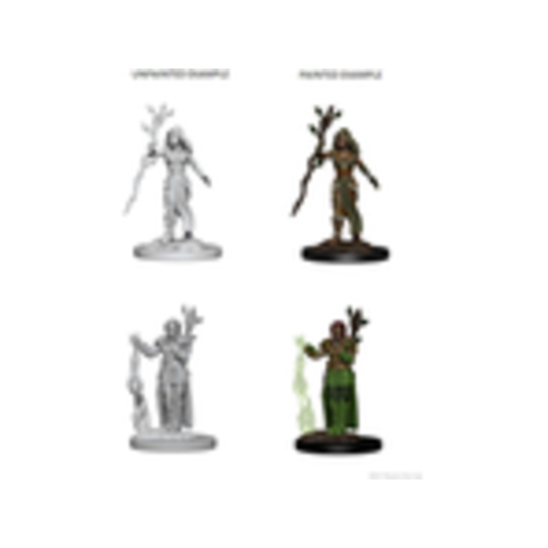 Wizkids - Dungeons and Dragons - Unpainted Miniature - Nolzurs Marvellous Miniatures - Human Female Druid - 72640