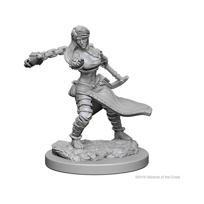 Wizkids - Dungeons and Dragons - Unpainted Miniature - Nolzurs Marvellous Miniatures - Human Female Monk - 72634