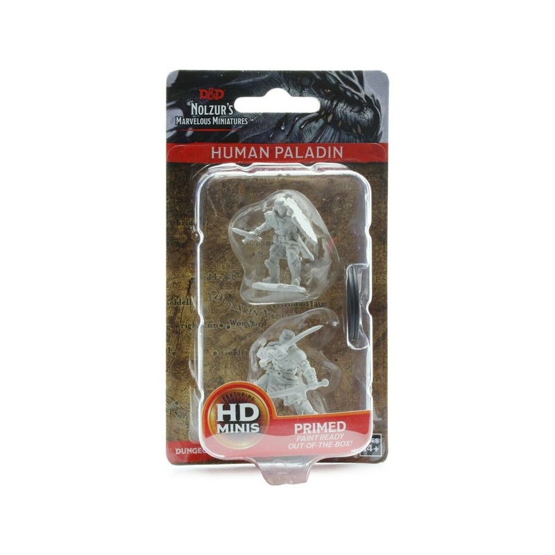 Wizkids - Dungeons and Dragons - Unpainted Miniature - Nolzurs Marvellous Miniatures - Human Male Paladin - 72629