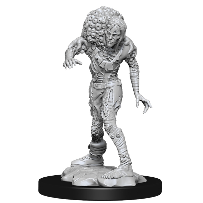 Dungeons & Dragons Nolzurs Miniatures: Wave 14 - Drowned Assassin/Asetic