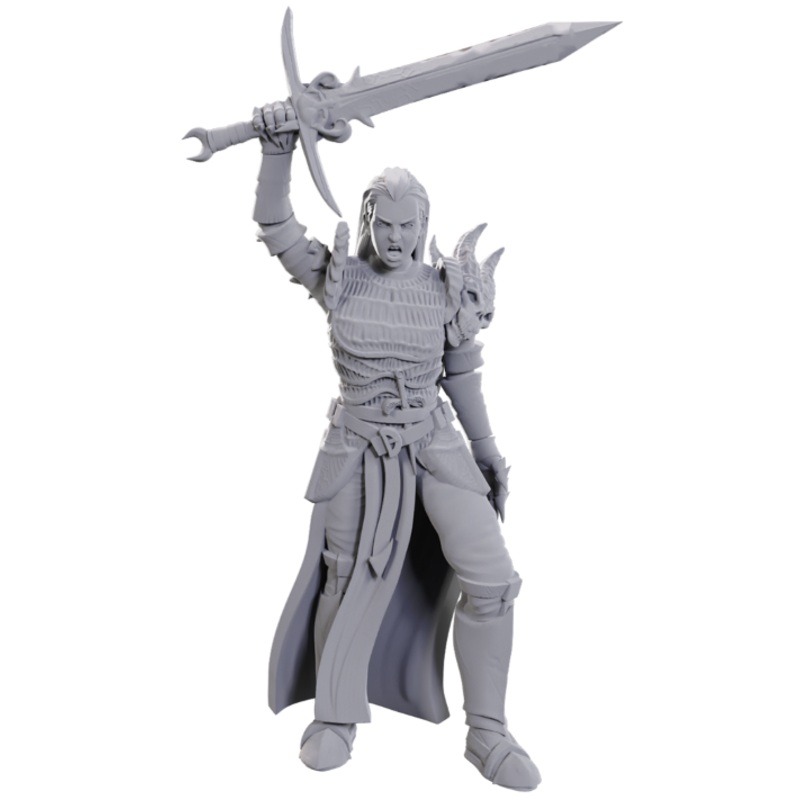 Dungeons & Dragons Nolzur's Miniatures: Wave 25 - Blackguard