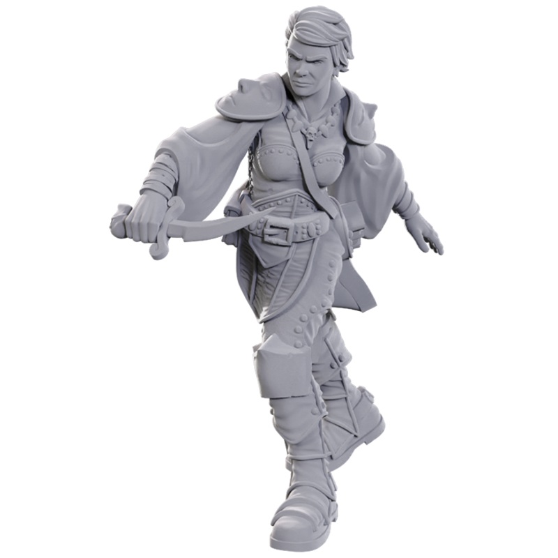Dungeons & Dragons Nolzur's Miniatures: Wave 25 - Swashbuckler