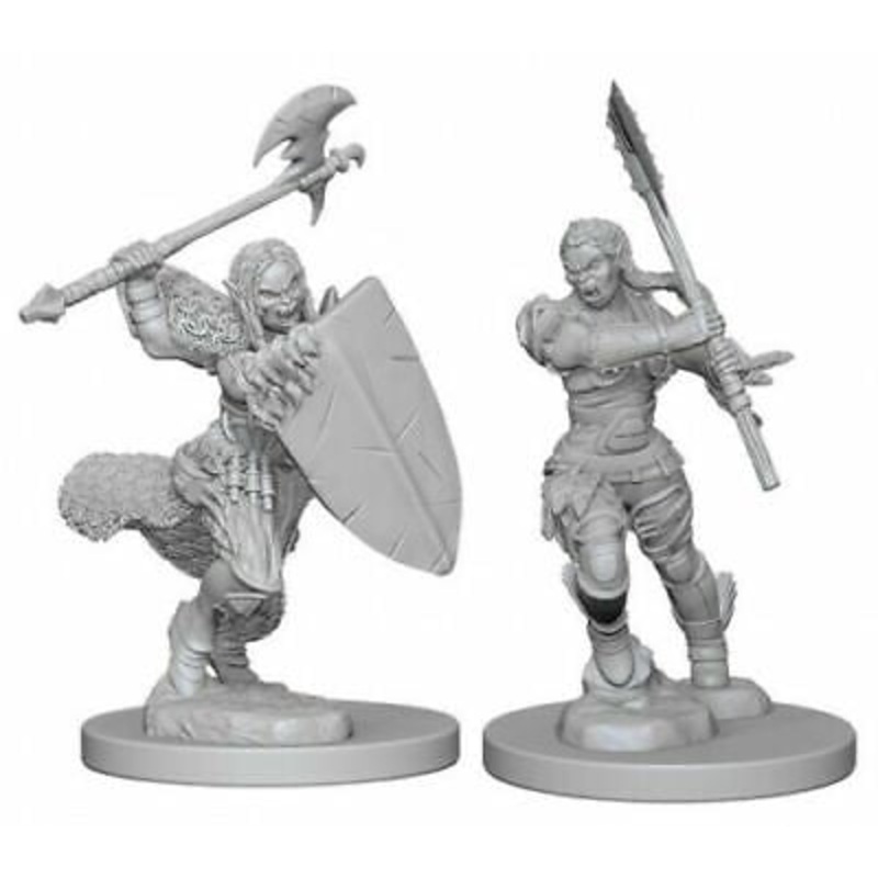 Pathfinder Battles Miniatures: Wave 1 - Half Orc Female Barbarian