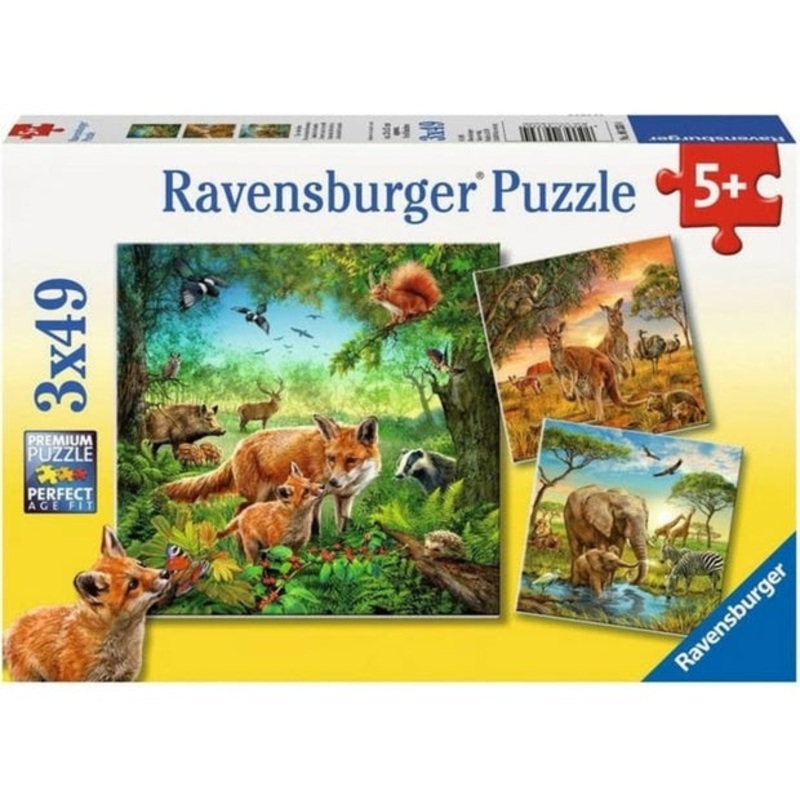 RB Animals of Earth 3x49pc