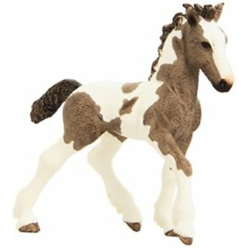 SC Tinker Foal (Red Dot)