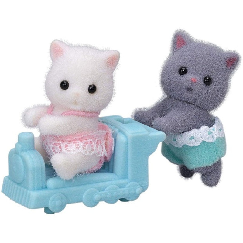 SF Persian Cat Twins