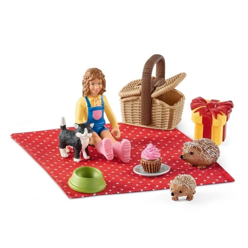 SC Birthday Picnic