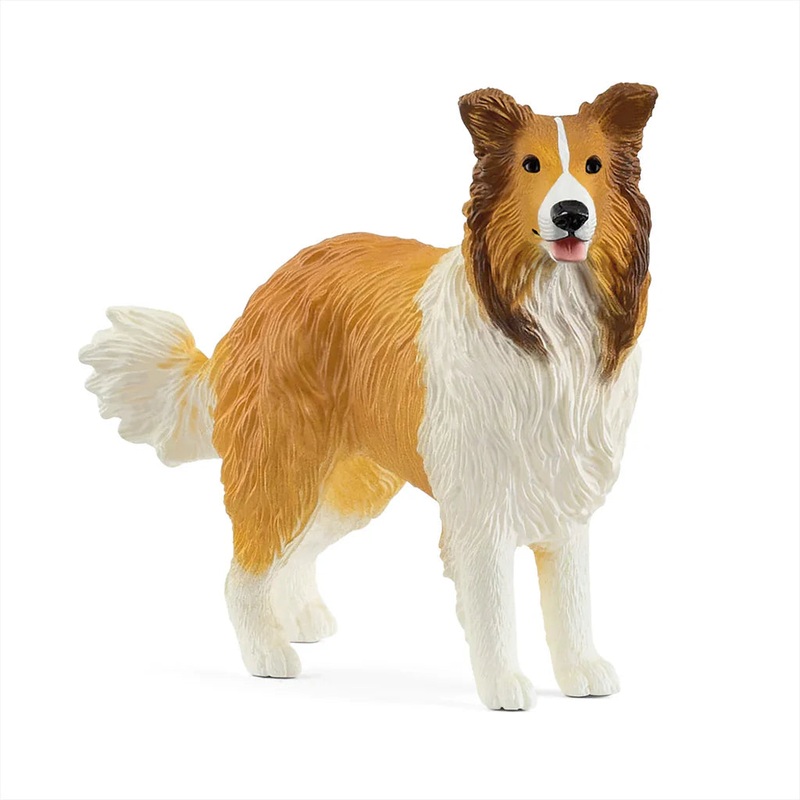 SC Collie (Yellow Dot)