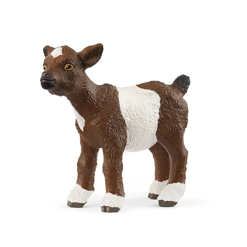 SC Goat Kid 2025 (Green Dot)