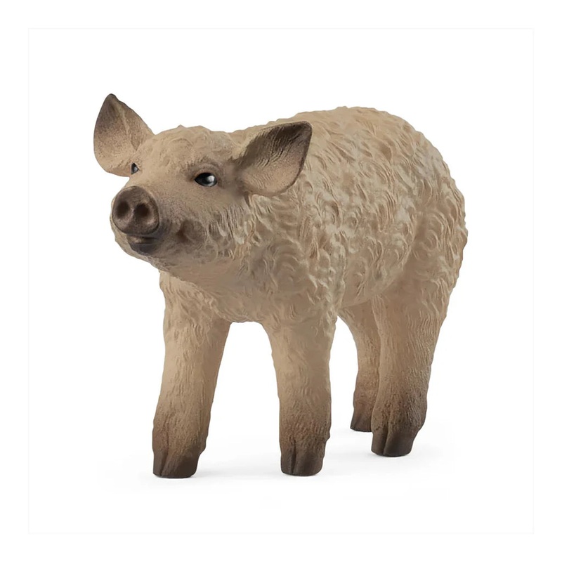 SC Mangalica Piglet (Green Dot)