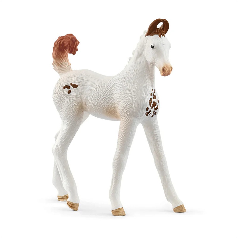 SC Marwari Foal (Red Dot)