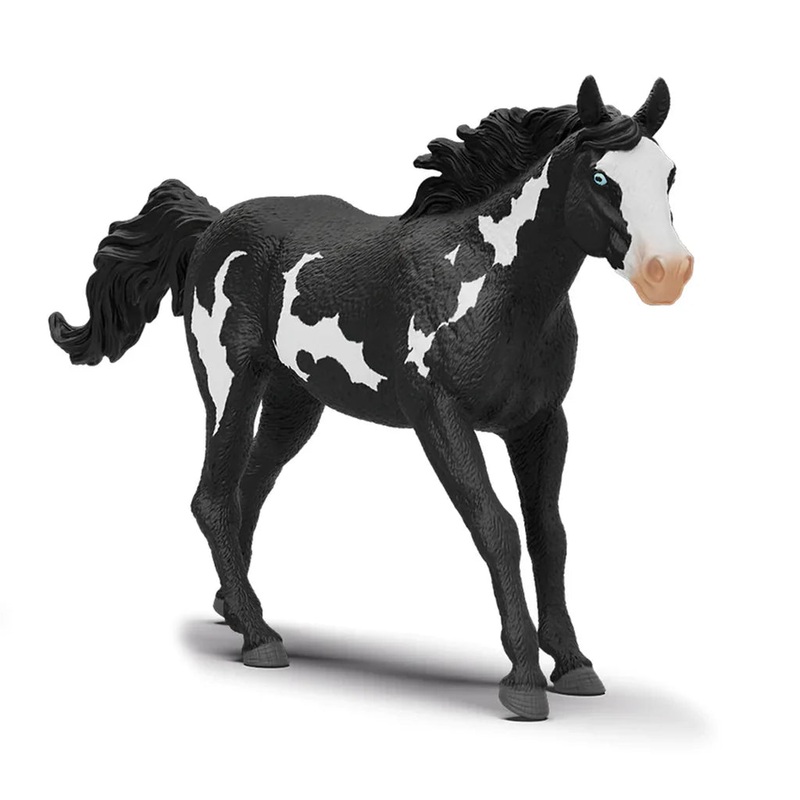 SC Paint Horse Gelding 2025 (Grey Dot)