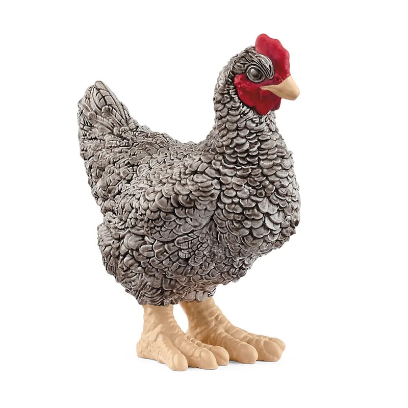 SC Plymouth Rock Chicken (Green Dot)