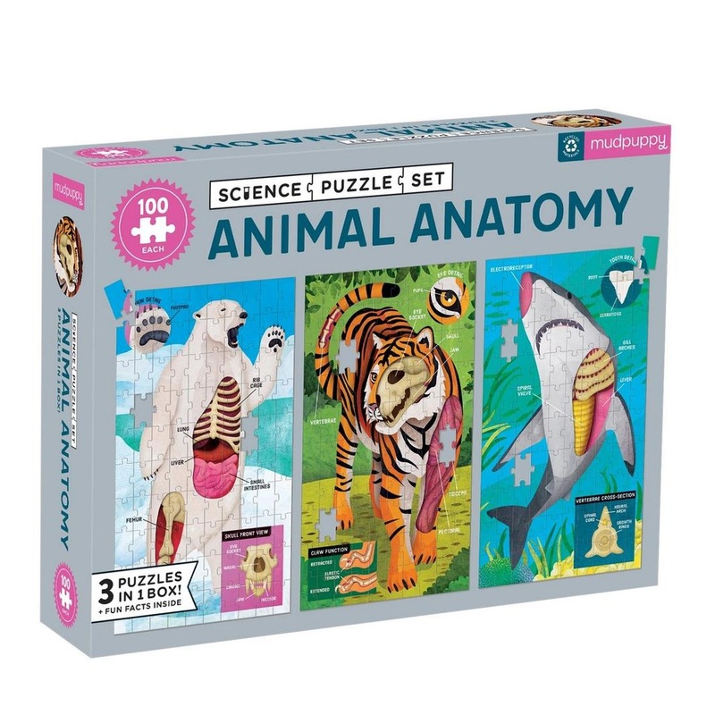 MP Animal Anatomy Science 3 Puzzle Set