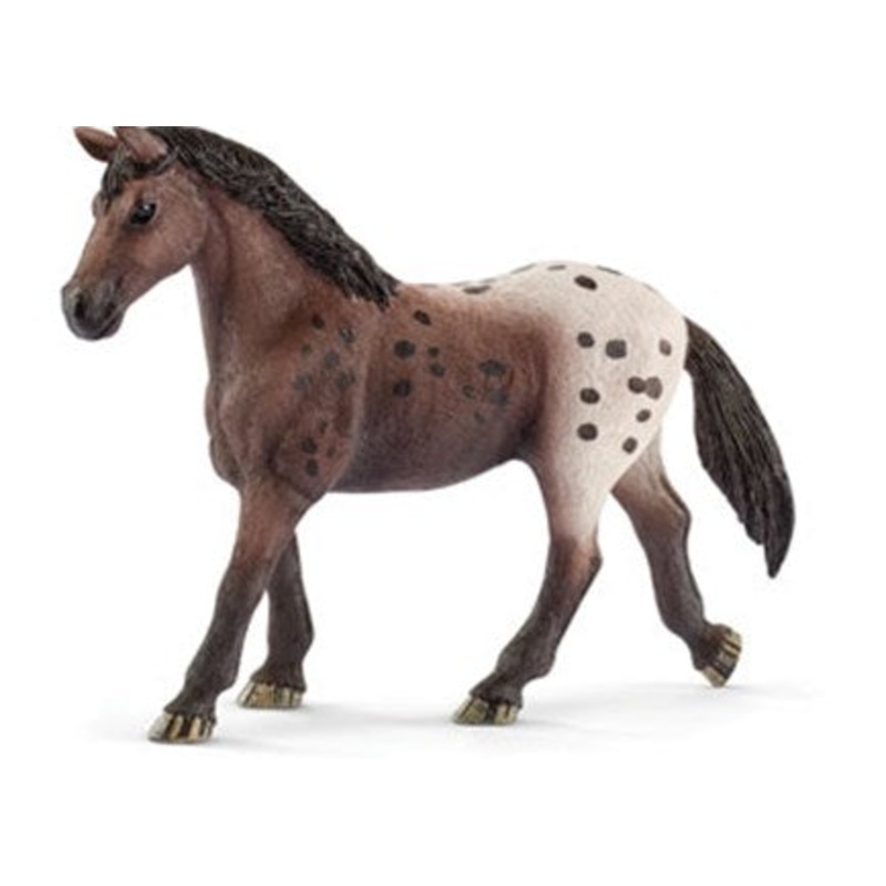 SC Appaloosa Mare (Grey Dot)