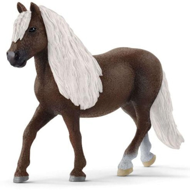 SC Black Forest Mare (Grey Dot)