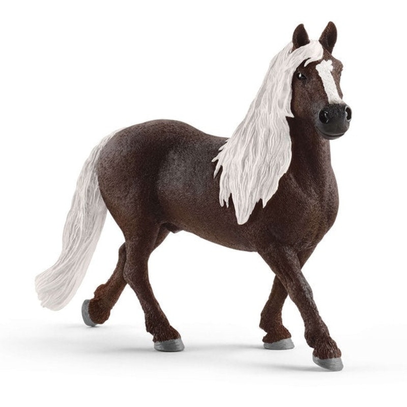SC Black Forest Stallion (Grey Dot)