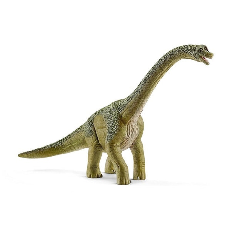 SC Brachiosaurus