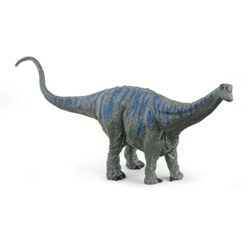 SC Brontosaurus