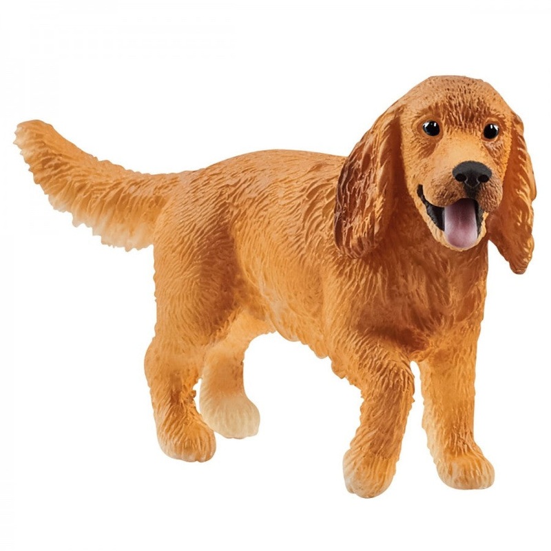 SC English Cocker Spaniel (Red Dot)
