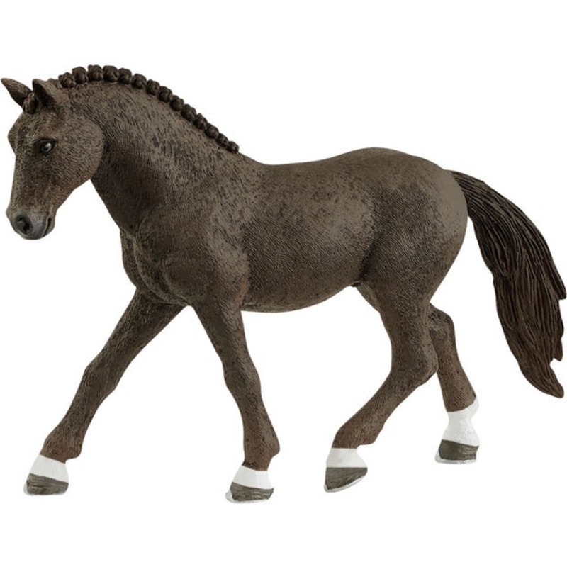 SC German Riding Pony Gelding (Grey Dot)