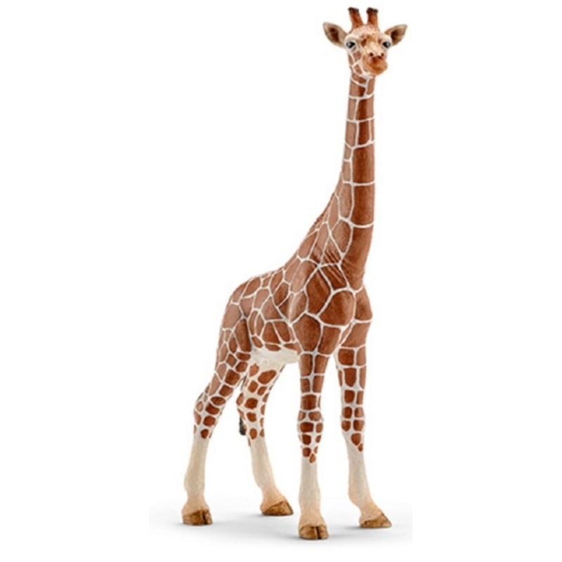 SC Giraffe Female (Grey Dot)