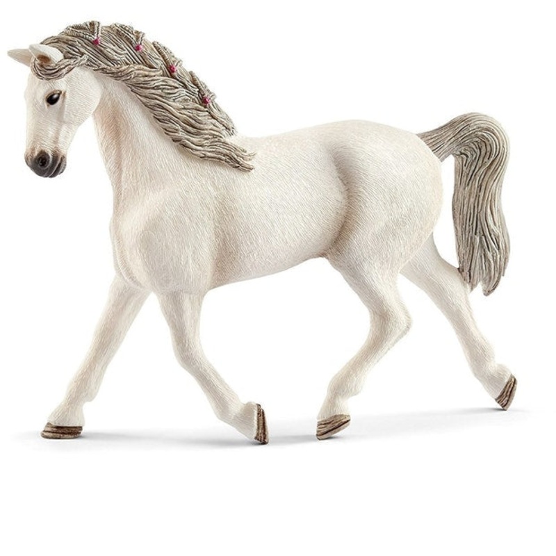 SC Holsteiner Mare (Grey Dot)