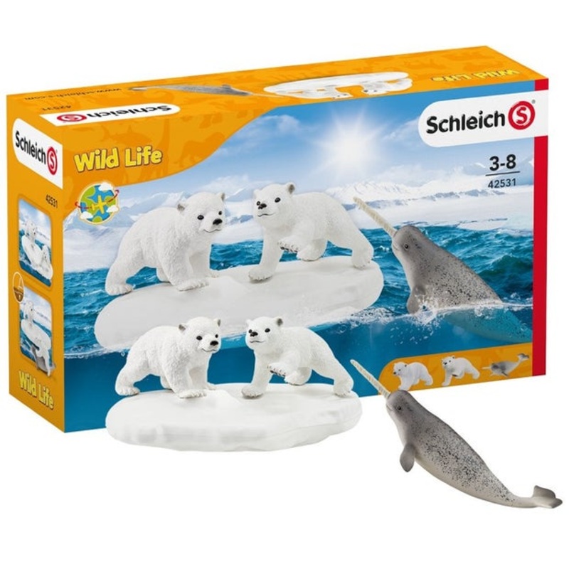 SC Polar Playground