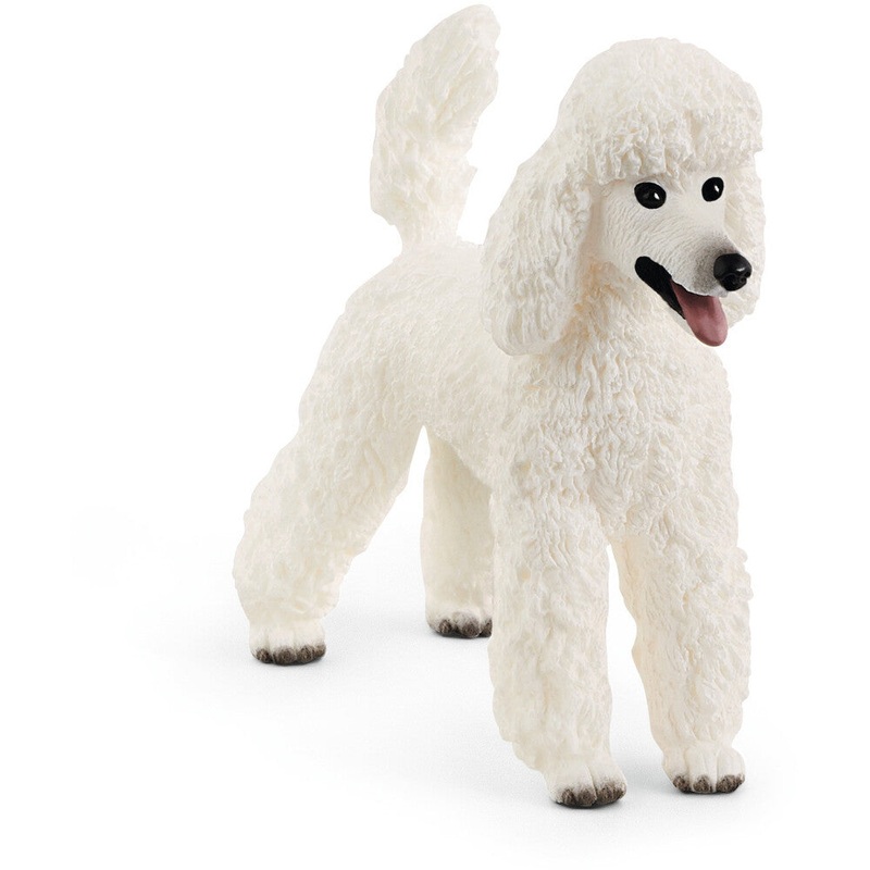SC Poodle (Red Dot)