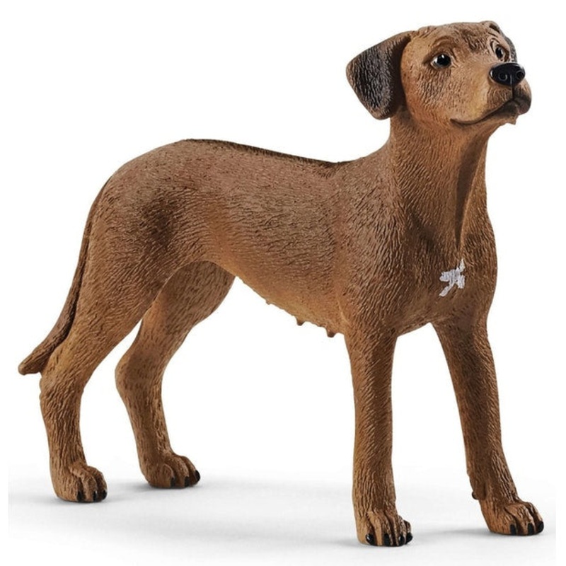 SC Rhodesian Ridgeback (Red Dot)