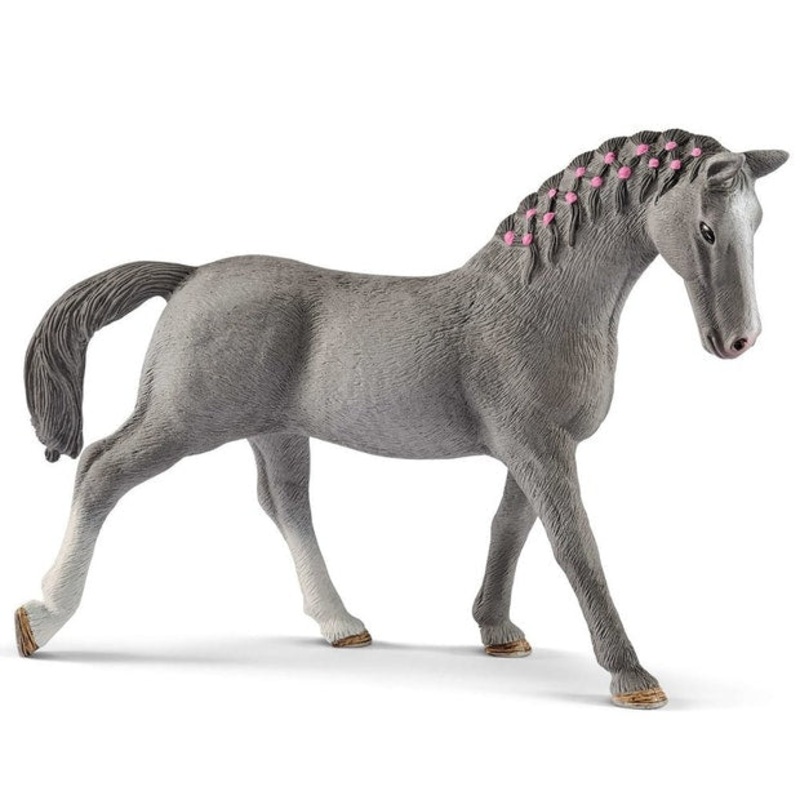SC Trakehner Mare (Grey Dot)