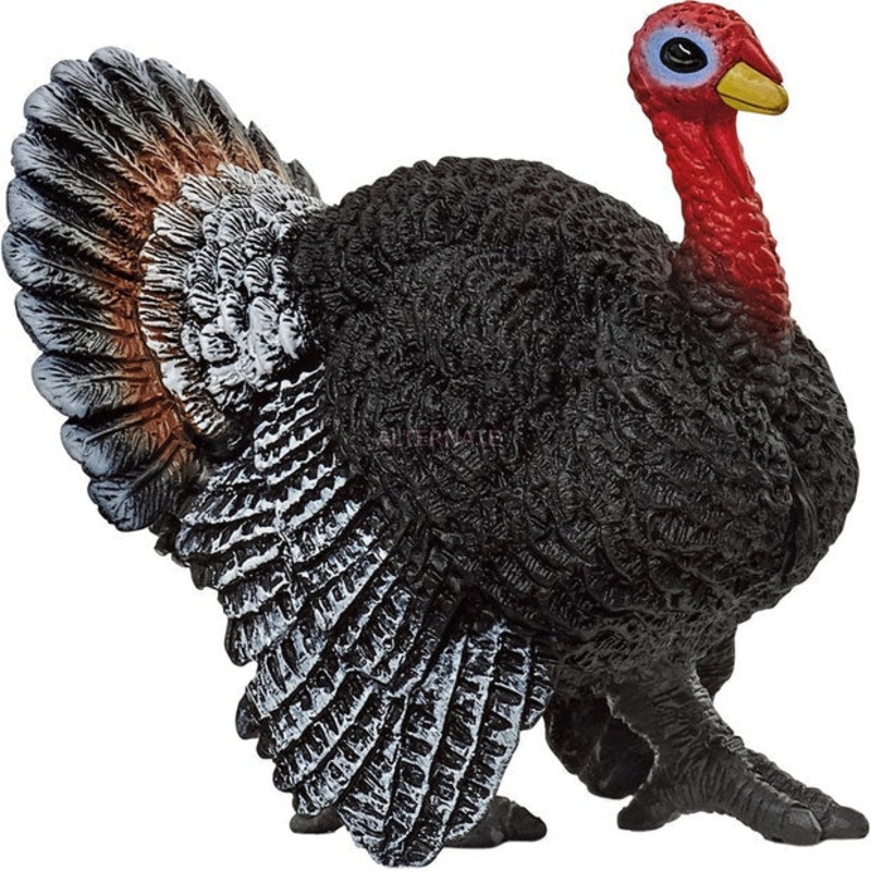 SC Turkey (Yellow Dot)