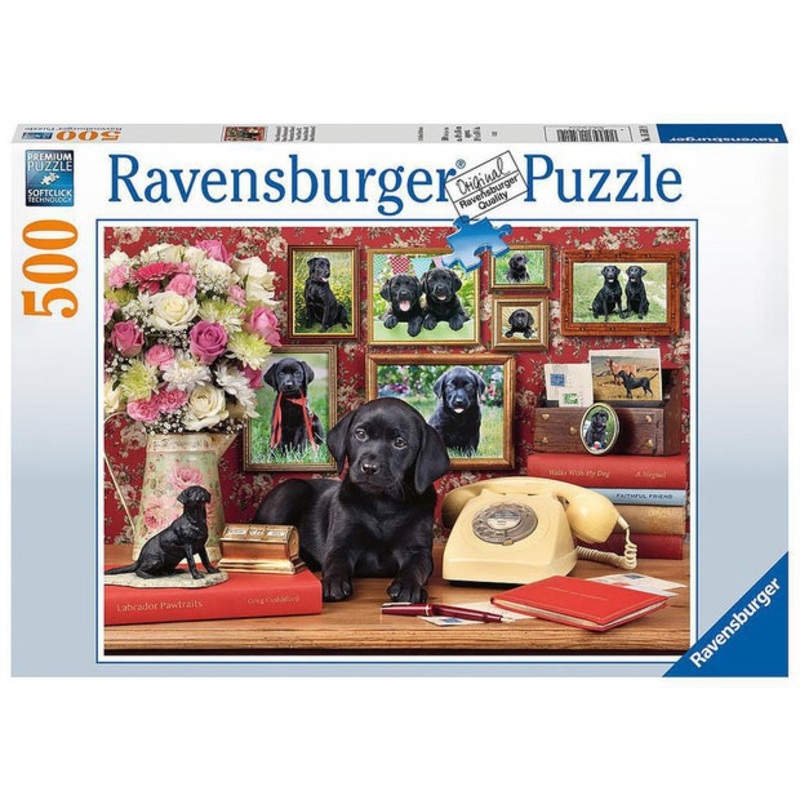 RB At Dogs 500pc