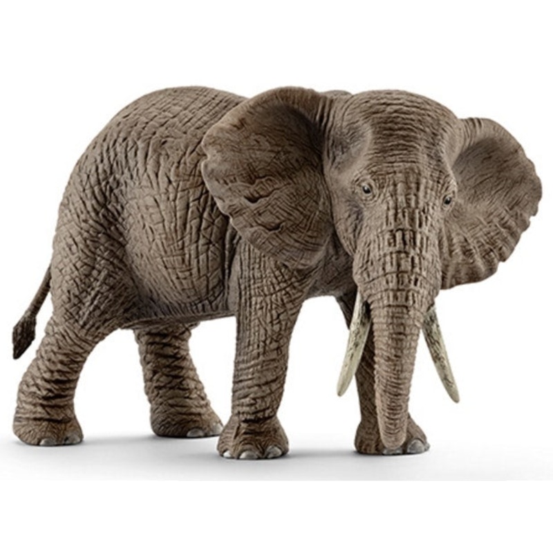 SC African Elephant Female (Brown Dot)