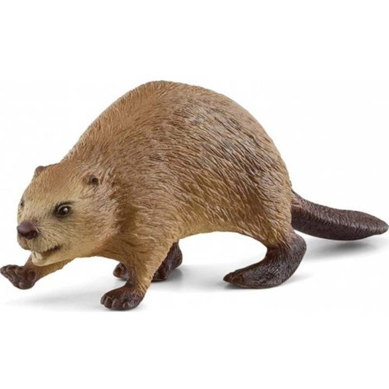 SC Beaver (Red Dot)