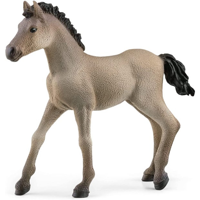 SC Criollo Definitivo Foal (Red Dot)