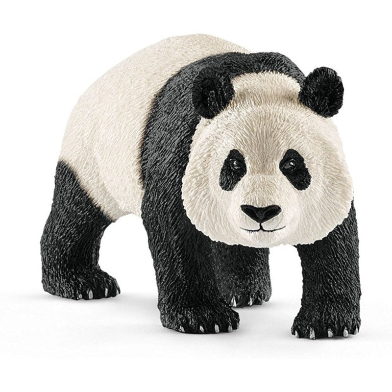 SC Giant Panda Male (Yellow Dot)