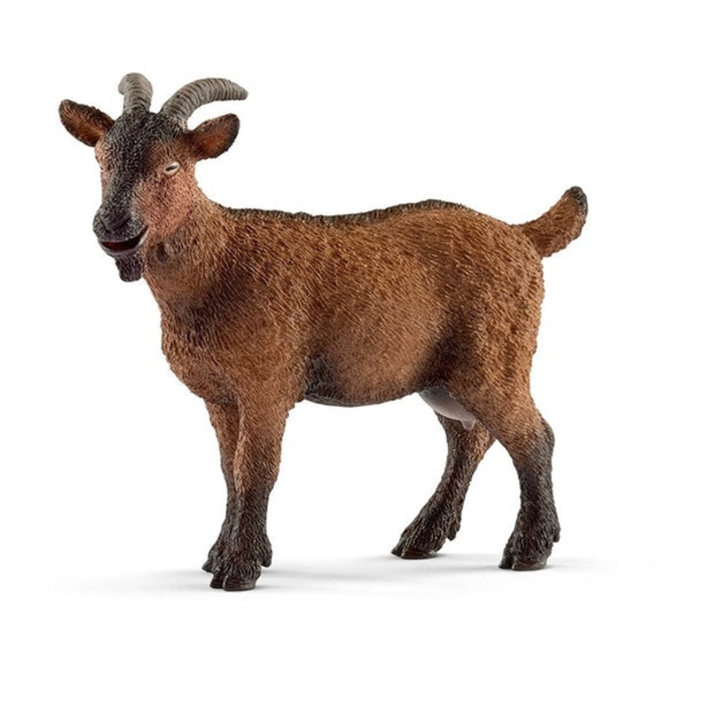 SC Goat (Red Dot)