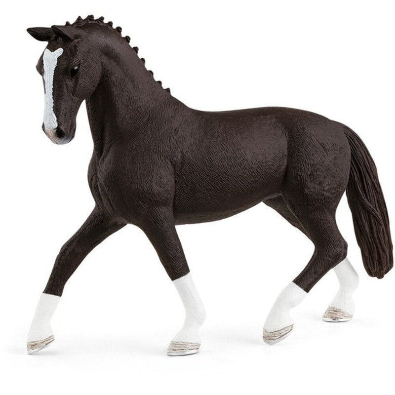 SC Hannoverian Mare Black (Grey Dot)