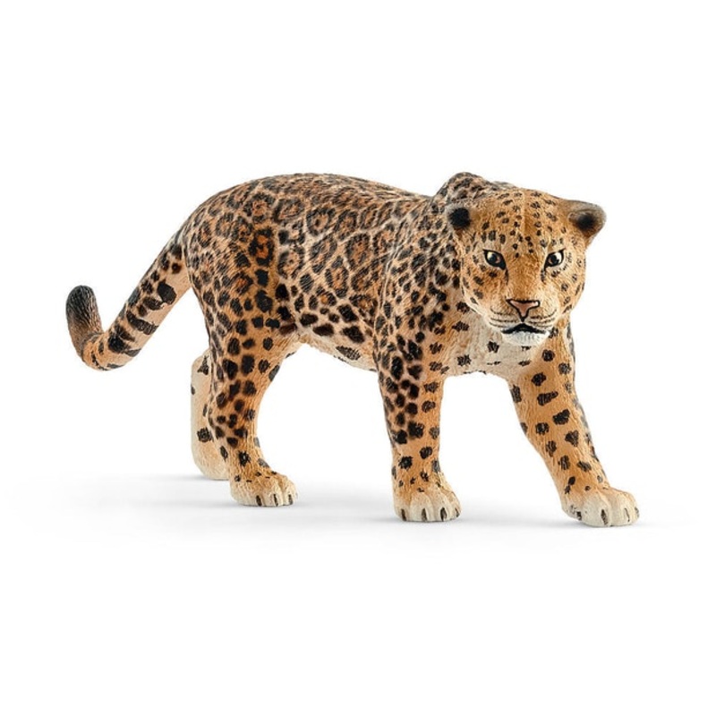 SC Jaguar (Yellow Dot)