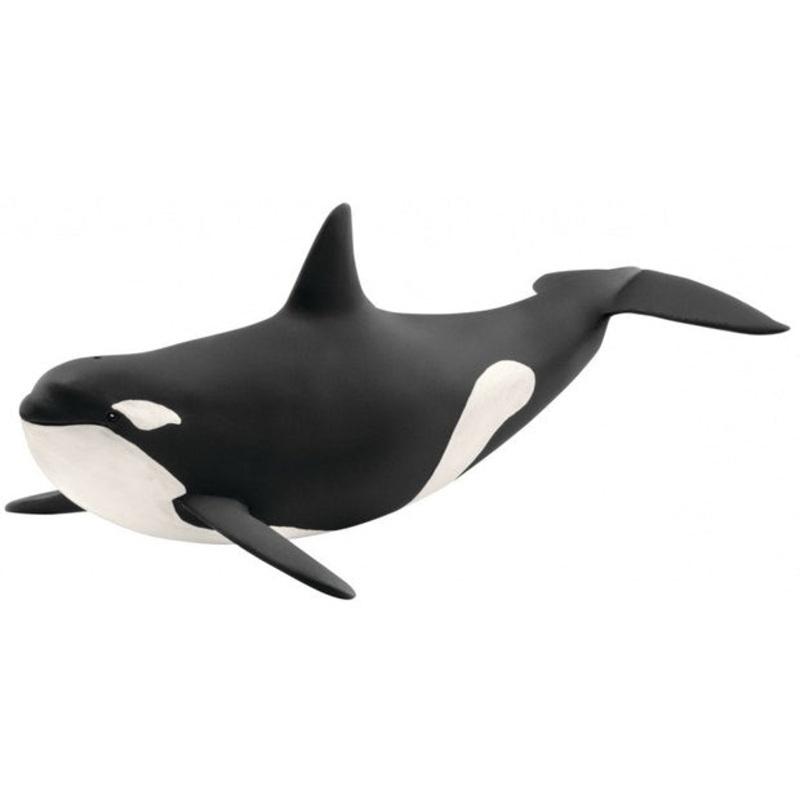 SC Killer Whale (Brown Dot)