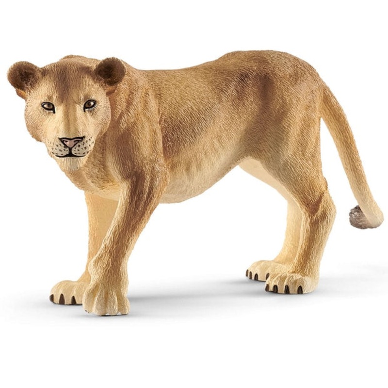 SC Lioness (Yellow Dot)