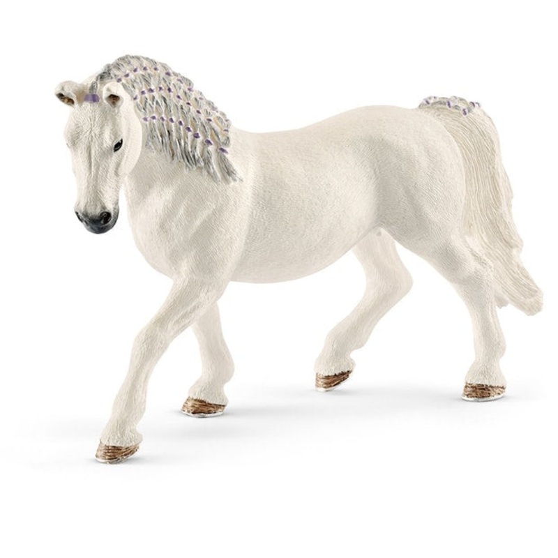 SC Lipizzaner Mare (Grey Dot)