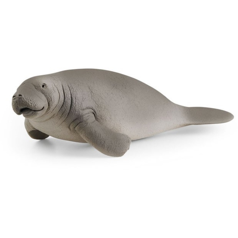 SC Manatee (Grey Dot)