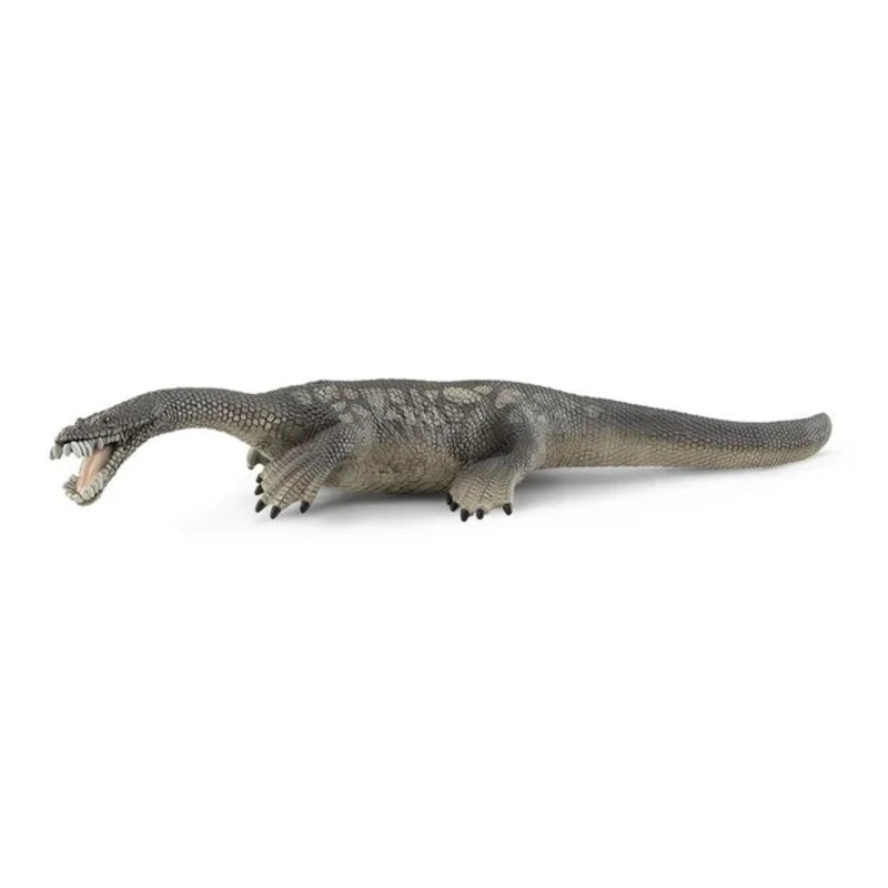 SC Nothosaurus