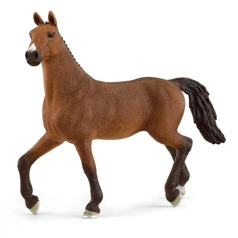 SC Oldenburger Mare (Grey Dot)