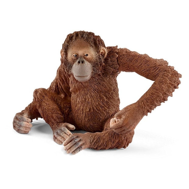 SC Orangutan Female (Grey Dot)