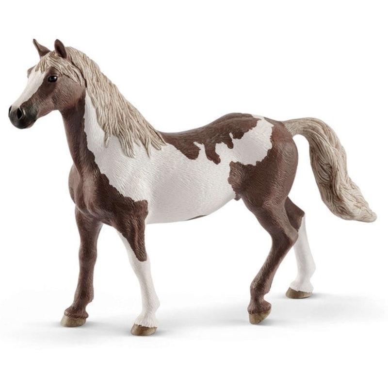 SC Paint Horse Gelding (Grey Dot)